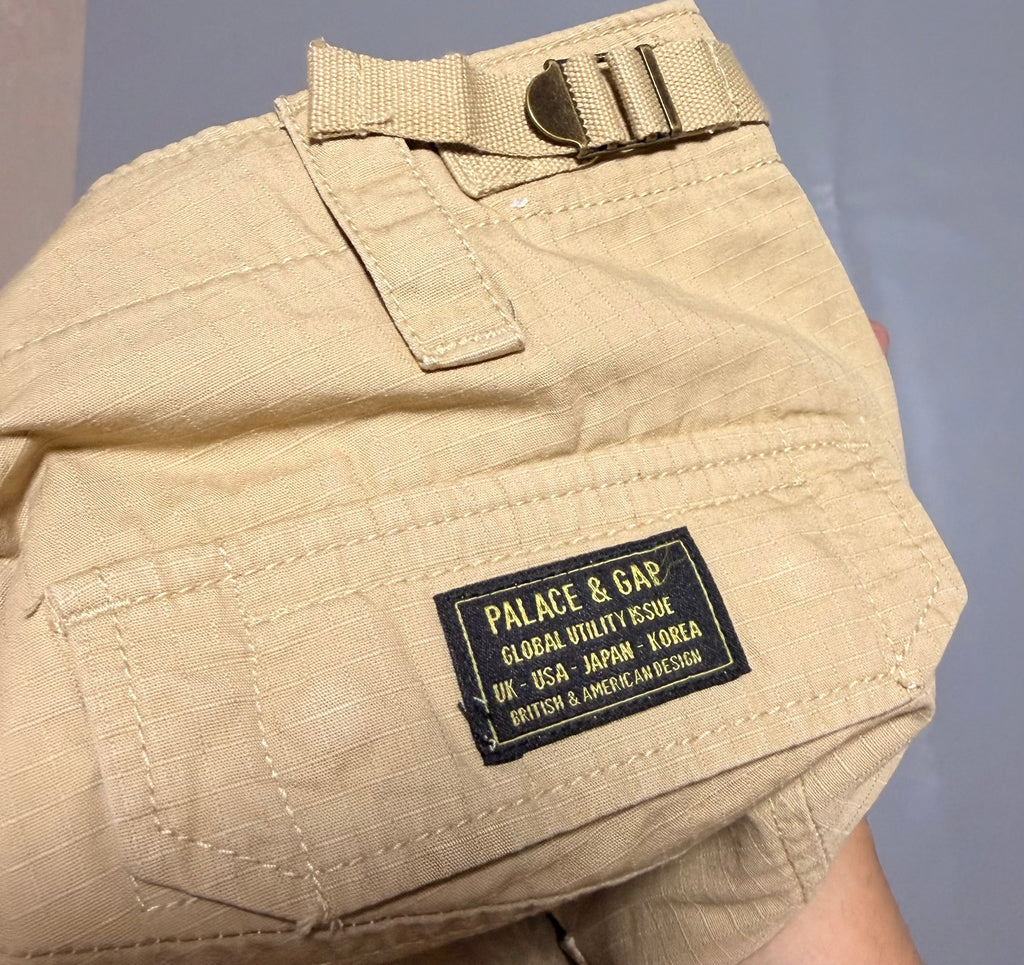 GAP x PALACE cargo pant