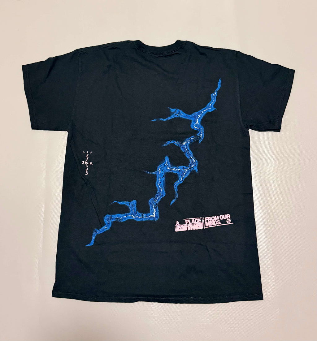 Travis Scott Cactus Jack x Fragment